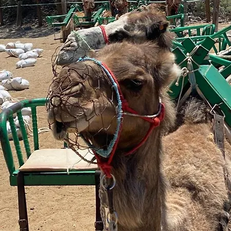 H4u - Playa & Dunas *