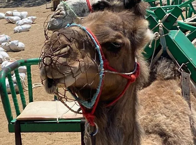 H4u - Playa & Dunas *